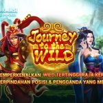 Journey to the Wild